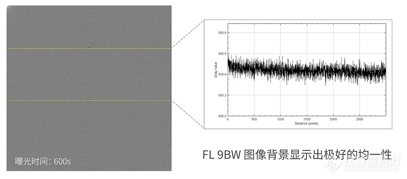 鑫图FL-9BW-拍摄所得的图表现出良好的背景均一性.png