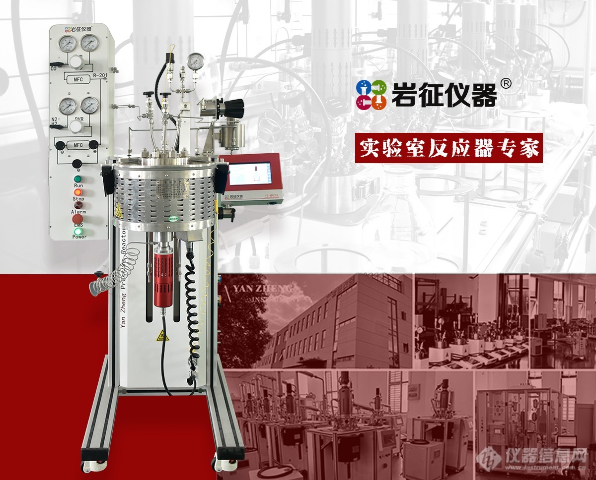 岩征仪器固定床微型反应器YZSR-1L-300M_价格-上海岩征实验仪器有限公司