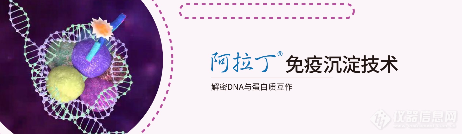 官网banner-免疫沉淀技术.png