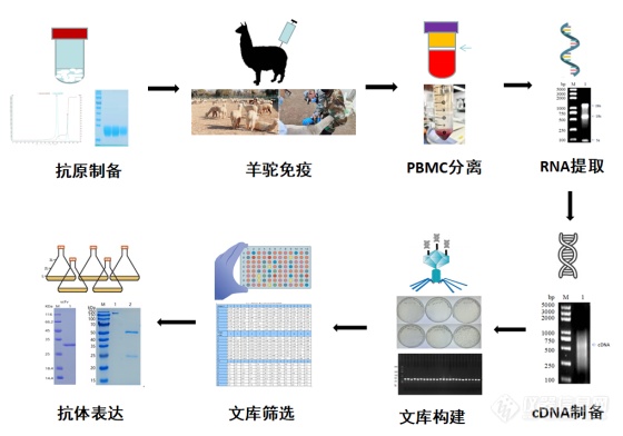 企业微信截图_16697866974388.png