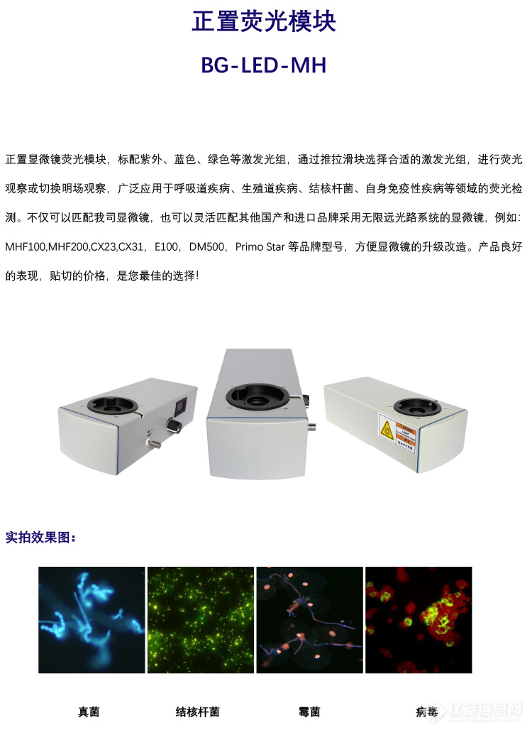 正置荧光模块双色BG-LED-MH-1.jpg