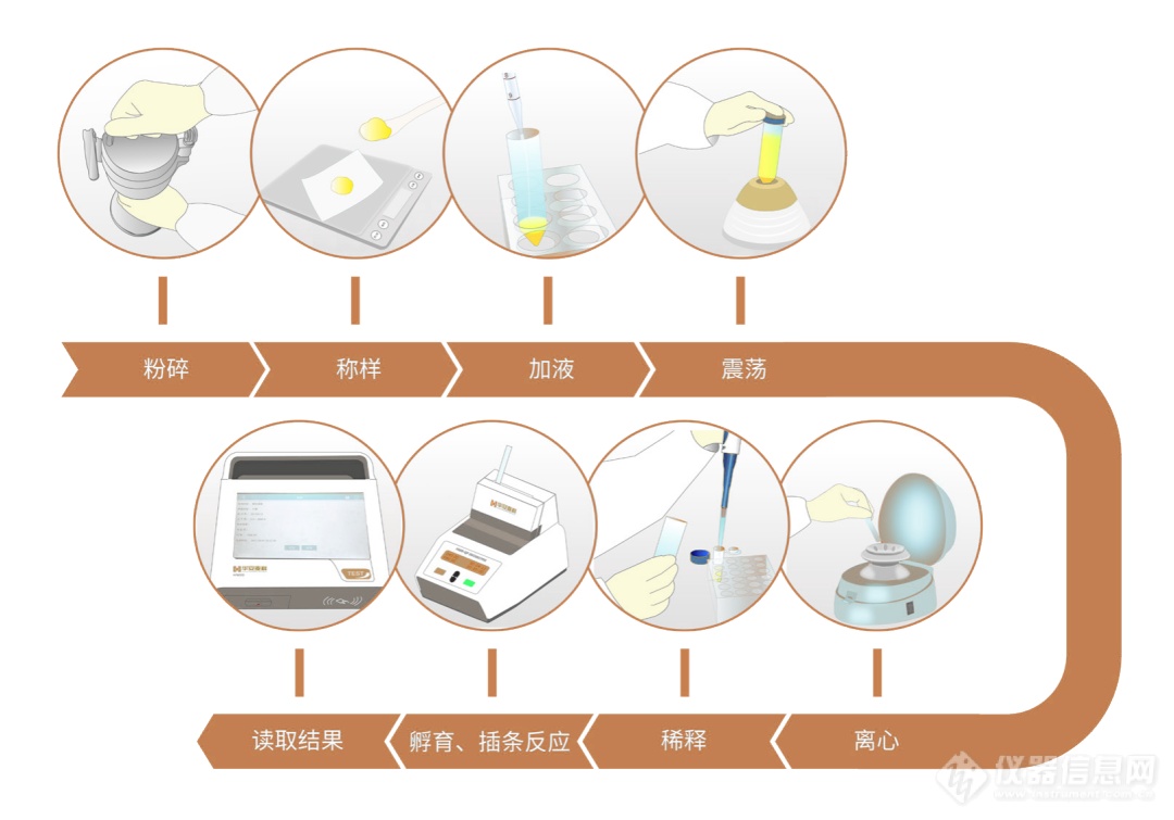 【收粮季】保障粮食安全-忙有所获，不负耕耘