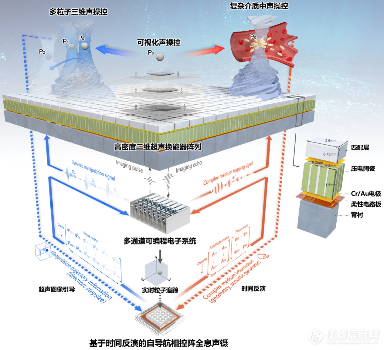 深圳先进院开发出相控阵全息声镊在体操控细胞新技术