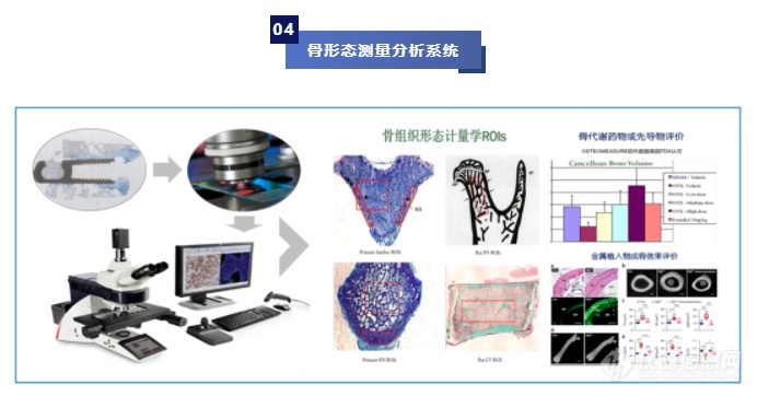 庆祝首届全国医疗器械实验病理学暨高端医疗器械创新论坛圆满落幕