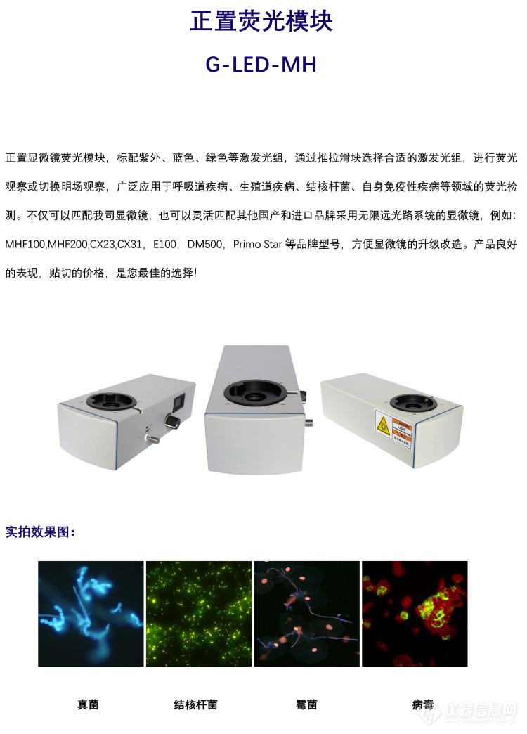 正置荧光模块单色G-LED-MH-1.jpg