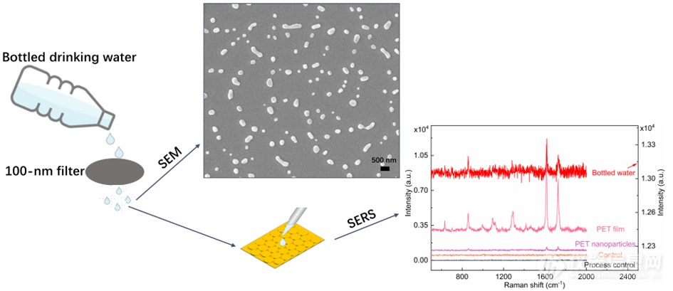 使用表面增强拉曼光谱检测瓶装水中的聚对苯二甲酸乙二醇酯纳米塑料