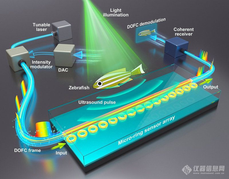 科学家研制出超高灵敏度光学超声传感器阵列