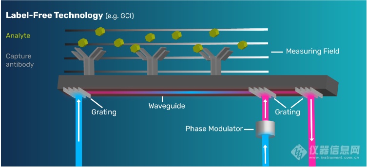 【热门应用】WAVE基于GCI技术的分子相互作用动力学分析在药物开发中的应用