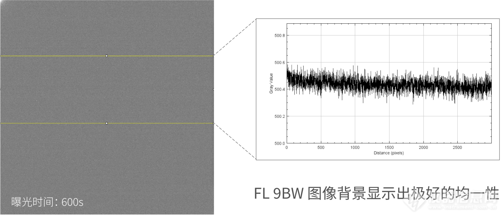 鑫图FL 9BW拍摄所得的图表现出良好的背景均一性.png