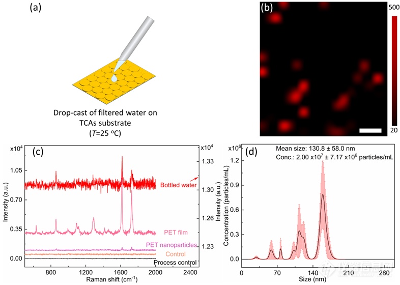 使用表面增强拉曼光谱检测瓶装水中的聚对苯二甲酸乙二醇酯纳米塑料