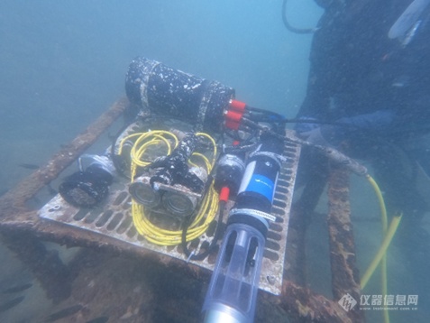 Manta多参数水质仪成功用于广西北海涠洲岛海域珊瑚礁监测