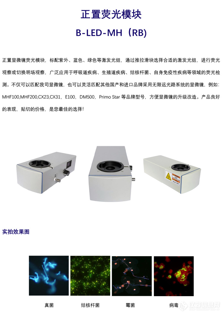 正置荧光模块单色B-LED-MH（RB)-1.jpg