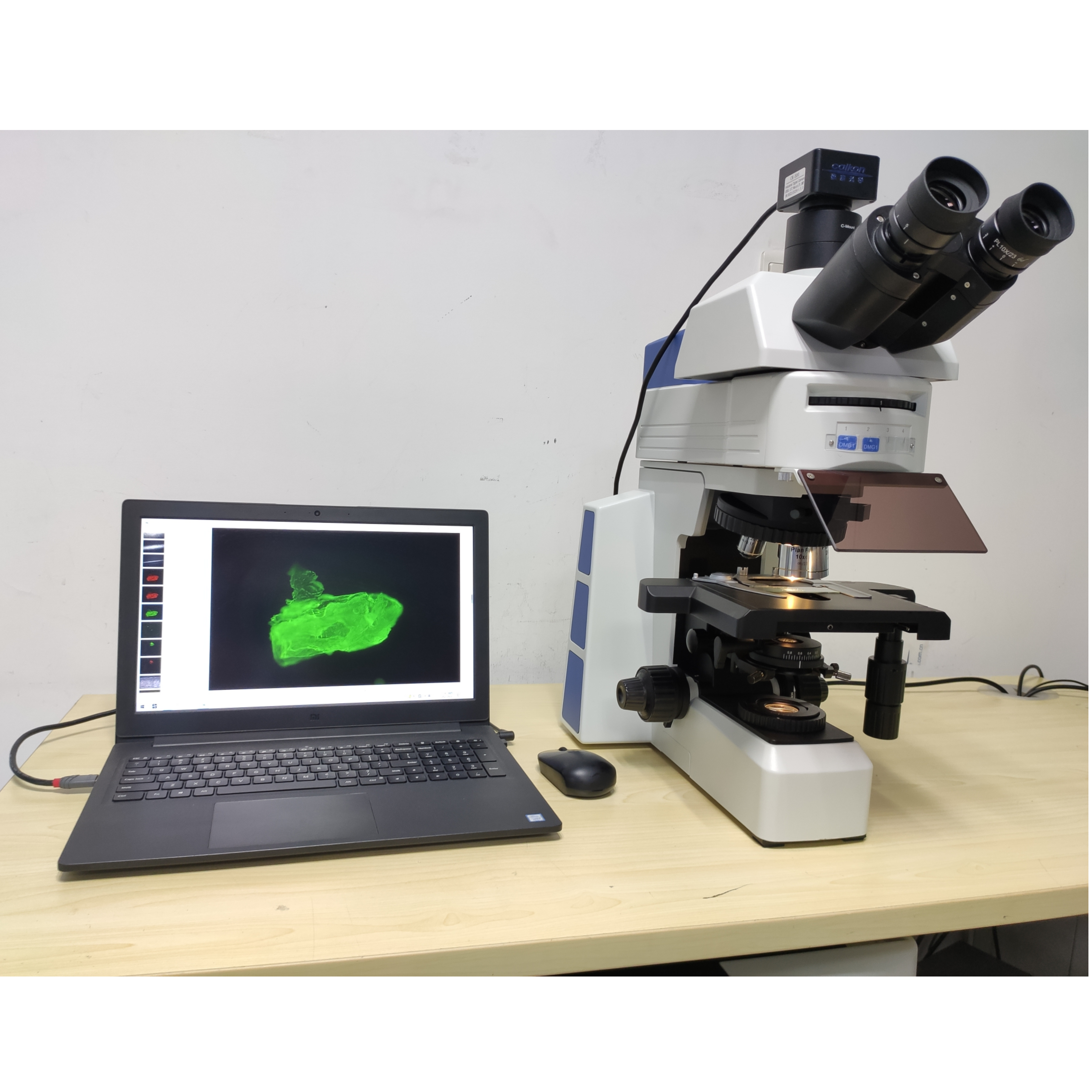 FCK-50C蔡康科研级荧光显微镜正置荧光显微分析系统