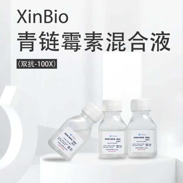 XinBio科研级青链霉素混合液
