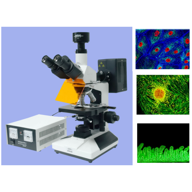 蔡康荧光显微镜DFM-40C正置电脑型荧光显微镜