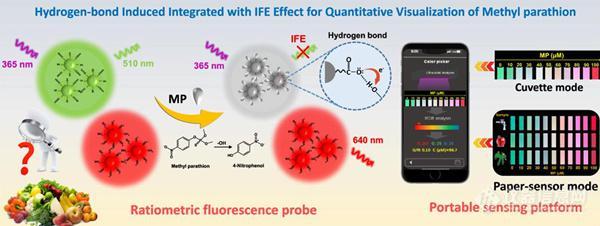 我国团队研制出纳米探针，借助手机实现农药残留可视化定量检测