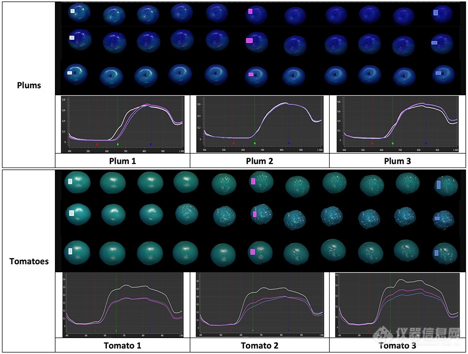 利用高光谱成像评估水果和蔬菜的成熟度和老化