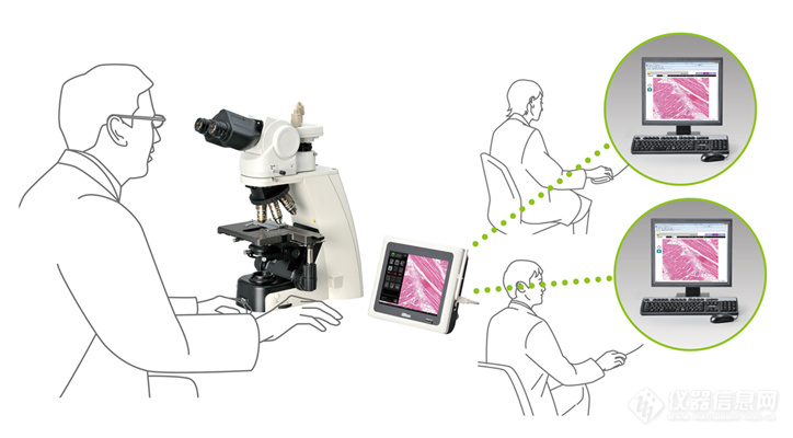 ci病理学通过网络数字化