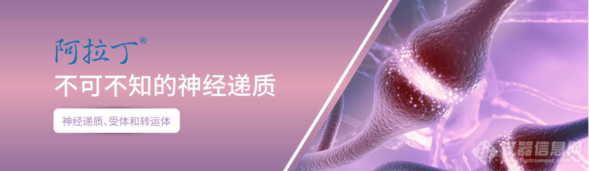 官网banner-不可不知的神经递质.png