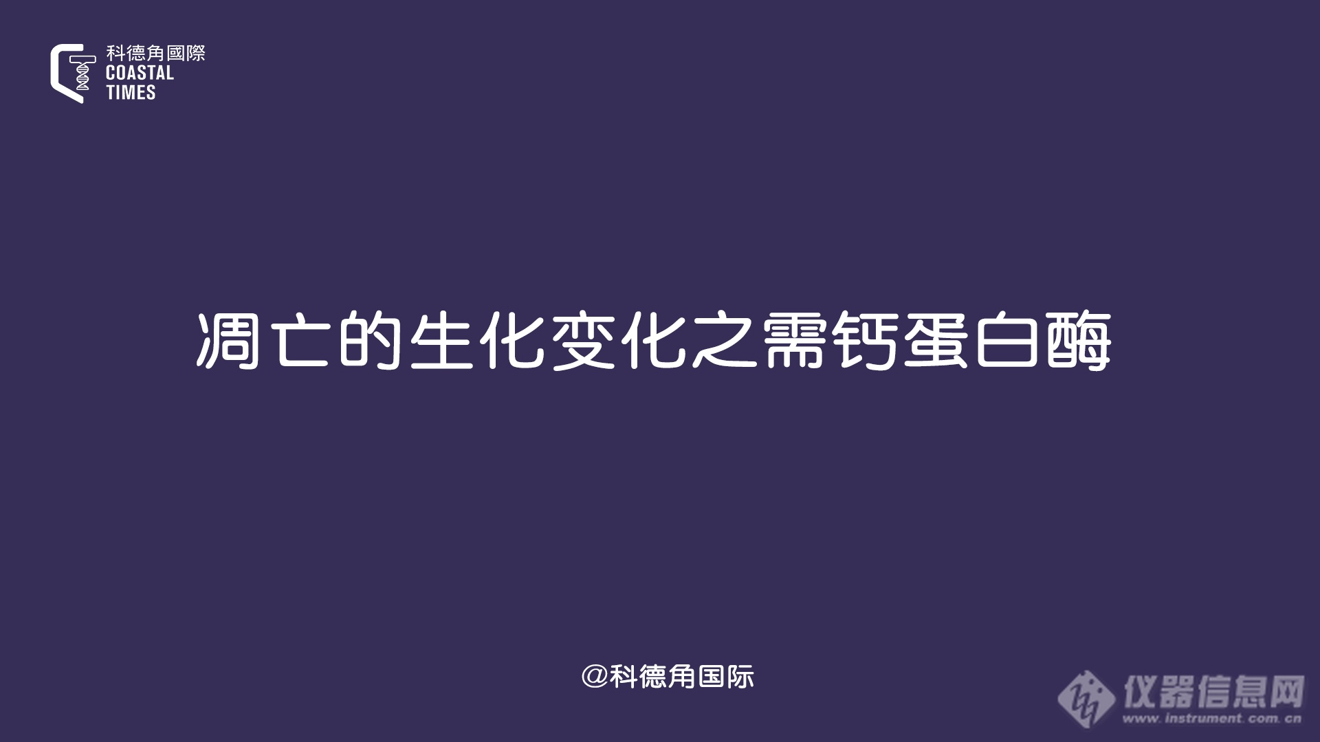 凋亡的生化变化之需钙蛋白酶