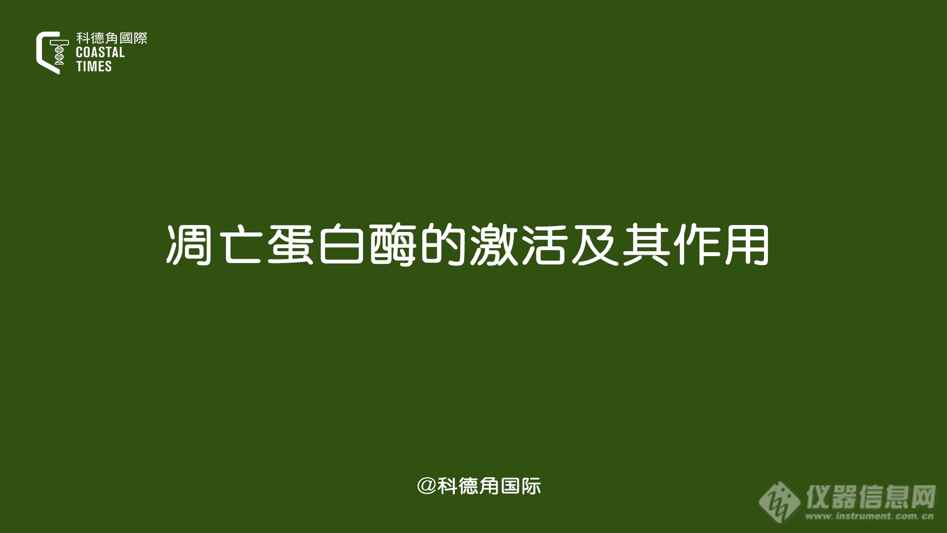 凋亡蛋白酶的激活及其作用