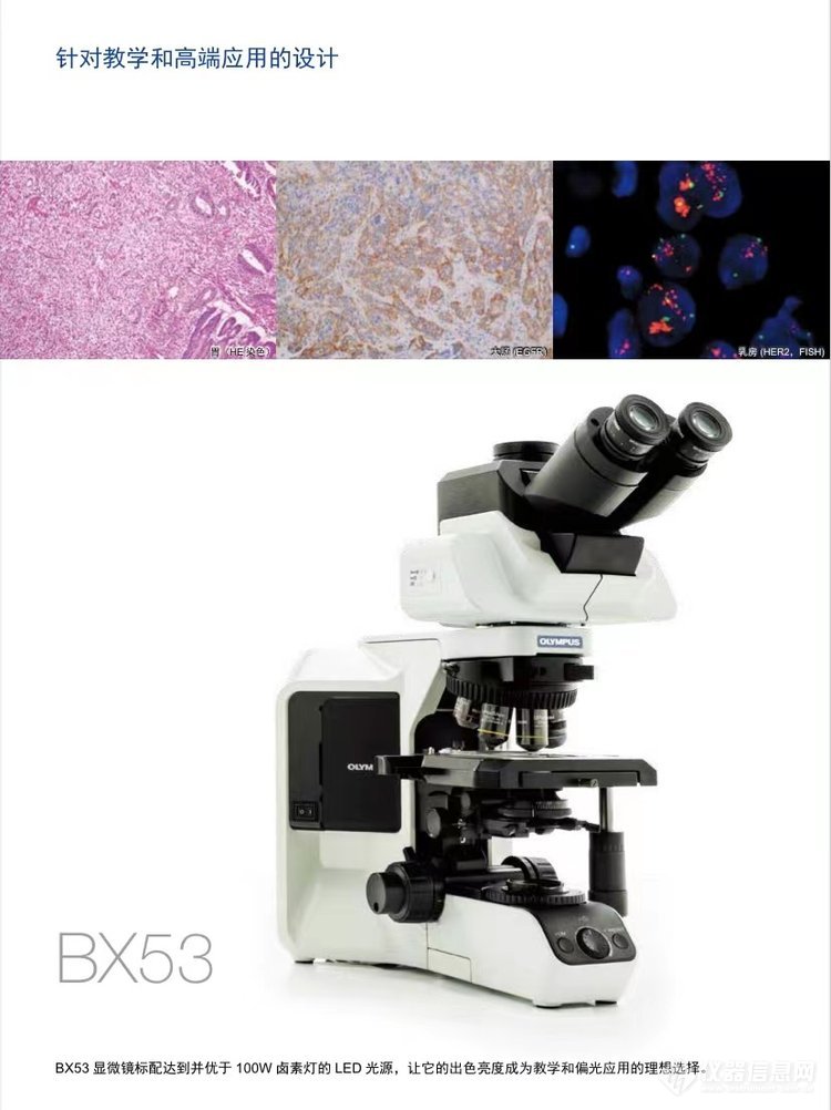 奥林巴斯生物显微镜BX53