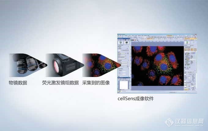 奥林巴斯cellSens软件