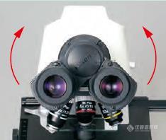 E100观察筒瞳距可向上调节