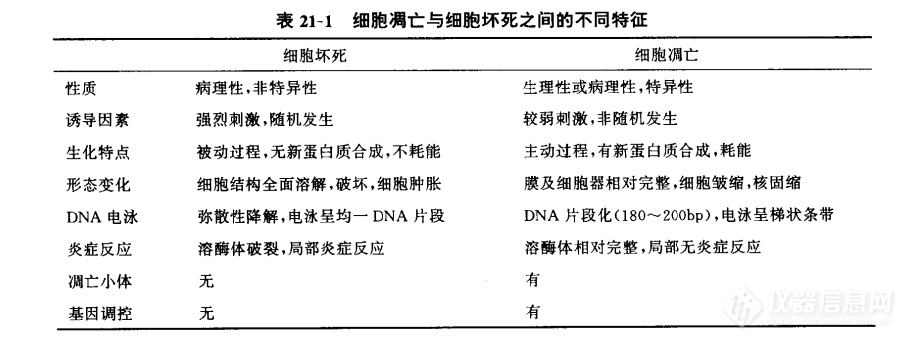 凋亡的形态学特征