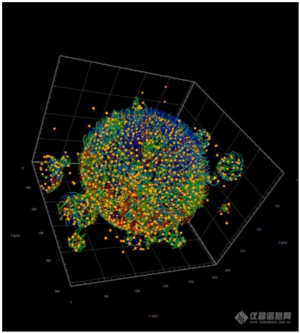 网络研讨会 | “不止步于图像”——蔡司arivis带您解析活细胞动态数据
