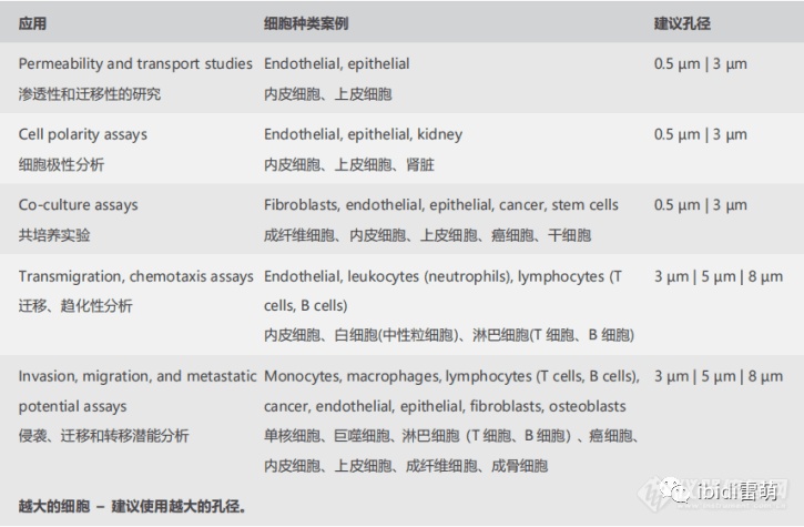 ibiPore可视化的Transwell:可实时观察流动、剪切力作用下细胞迁移、侵袭、细胞间相互作用