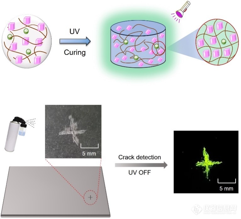 天津大学胡文平/汪天洋《Advanced Materials》：新型有机长余辉喷雾助力表面无损探伤