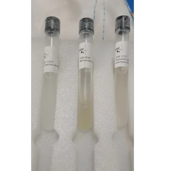 海洋沉积物芽孢杆菌 Bacillus oceanisediminis	