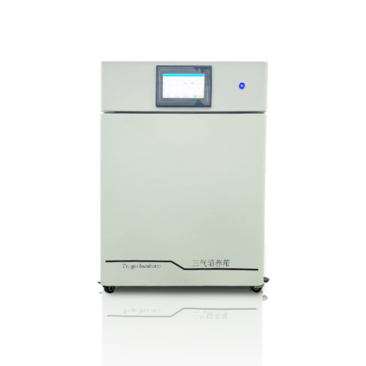 低温三气培养箱CH-SQ100D低氧细胞培养