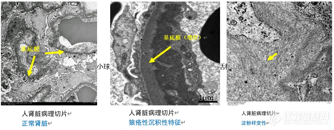 BCEIA 2023｜走，和日立共话医药热点（内附抽奖）