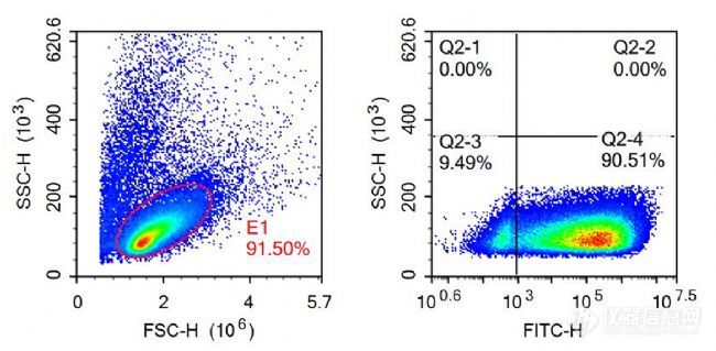 24h Tcell flowchat.jpg