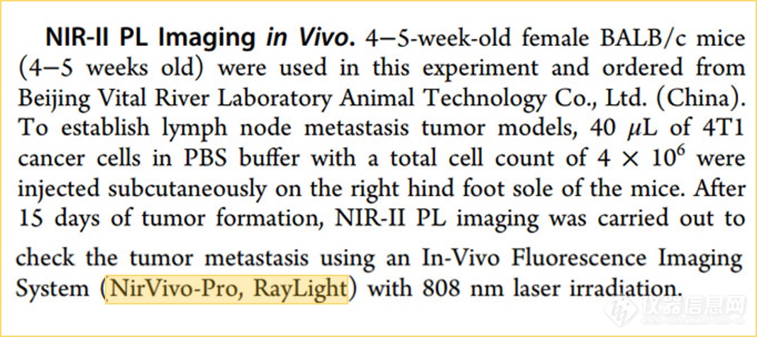 NirVivo系统应用分享|Au44团簇配体功能化用于NIR-II荧光成像引导的光激活肿瘤免疫治疗