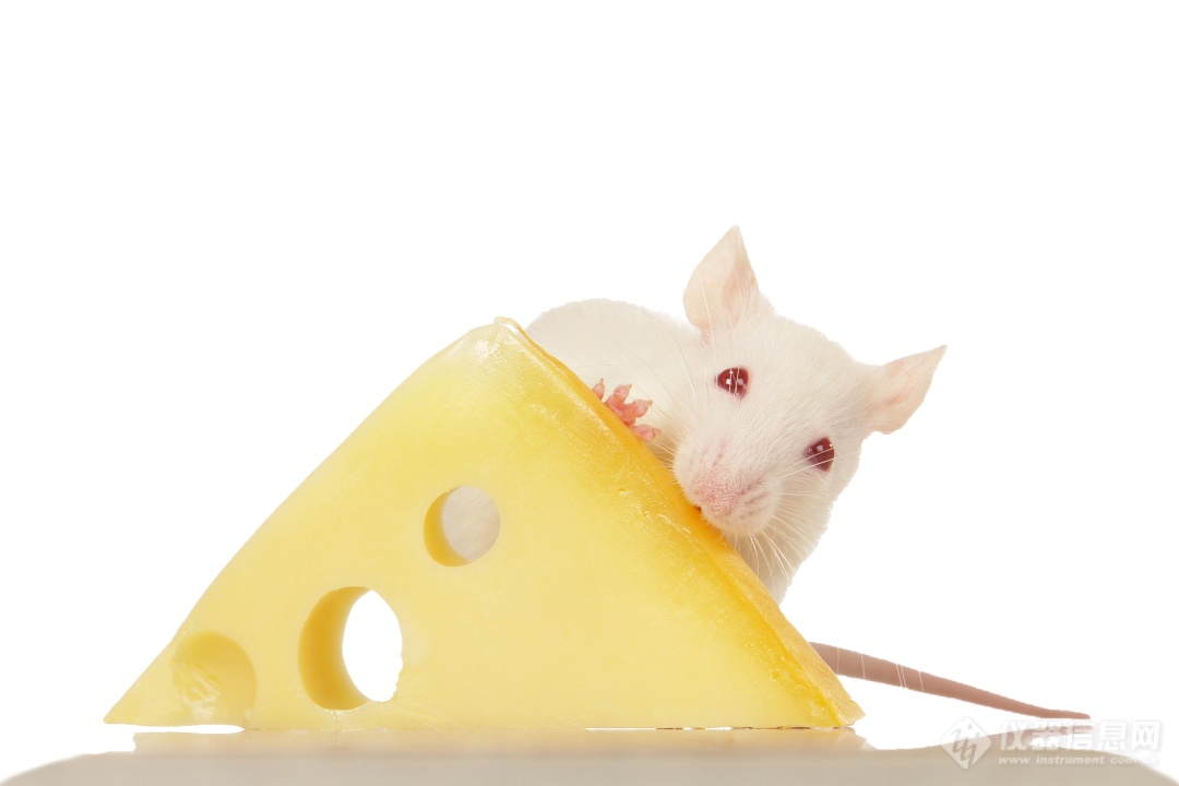 谱育科技 | LC-MS/MS 抗凝血杀鼠剂检测专“鼠”方案
