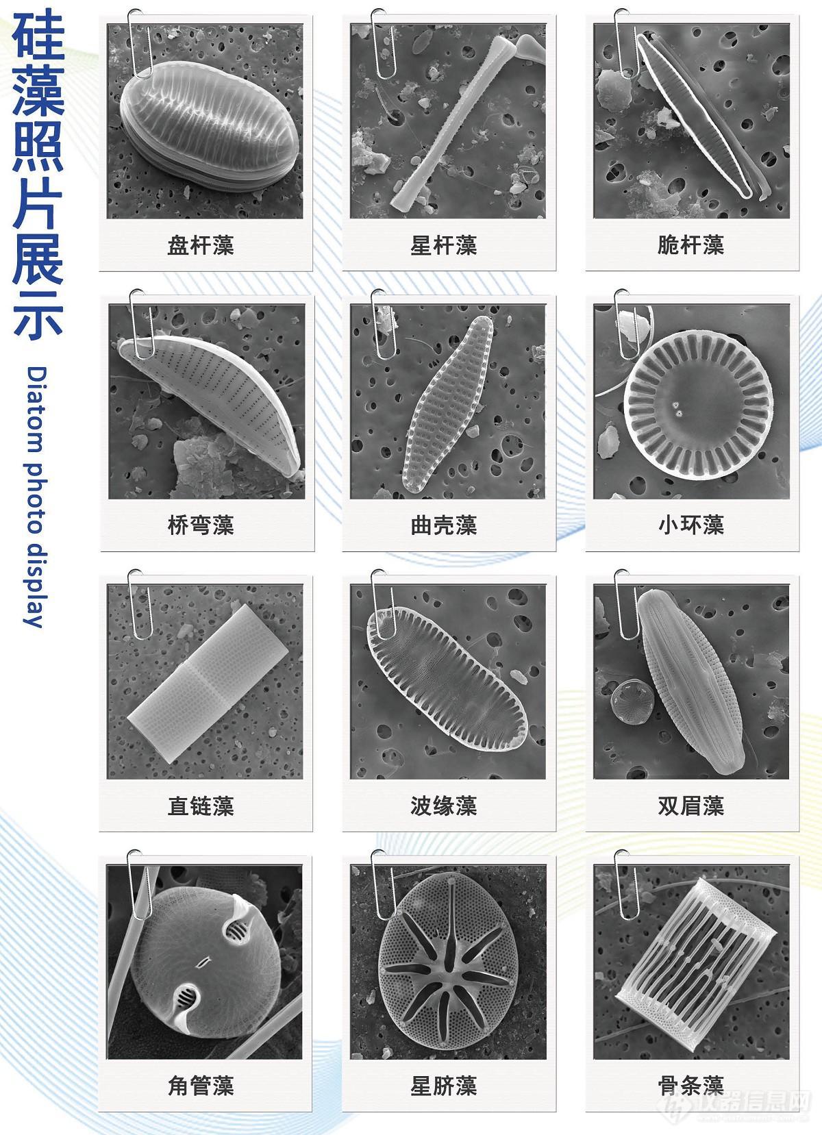 硅藻自动检测系统DiatomX/ZEM15