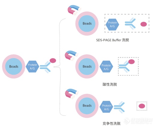 微信图片_20230804143138_1.png