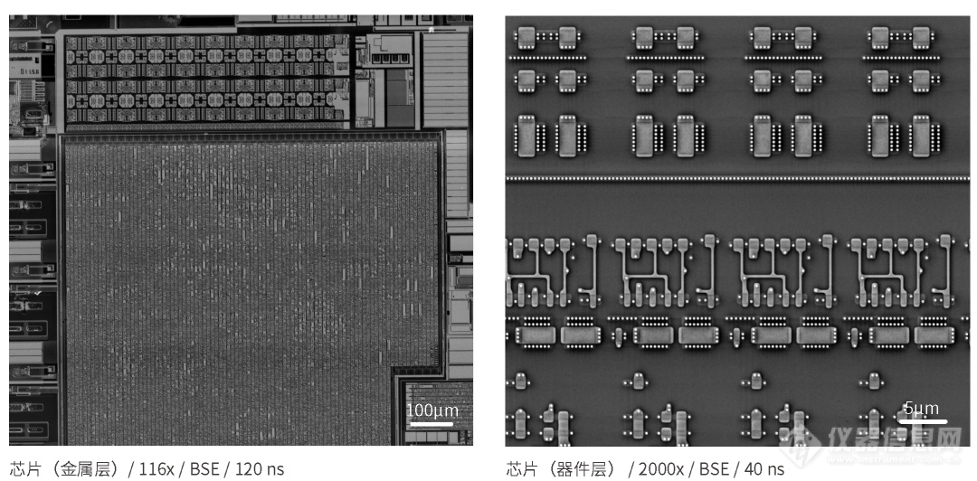 高速电镜新品！国仪量子推出高速扫描电镜HEM6000