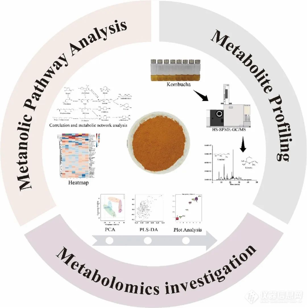 江苏大学陈全胜团队: 通过HS-SPME-GC/MS结合代谢组学分析鉴定超声波辅助康普茶发酵过程中的挥发性物质及其代谢途径