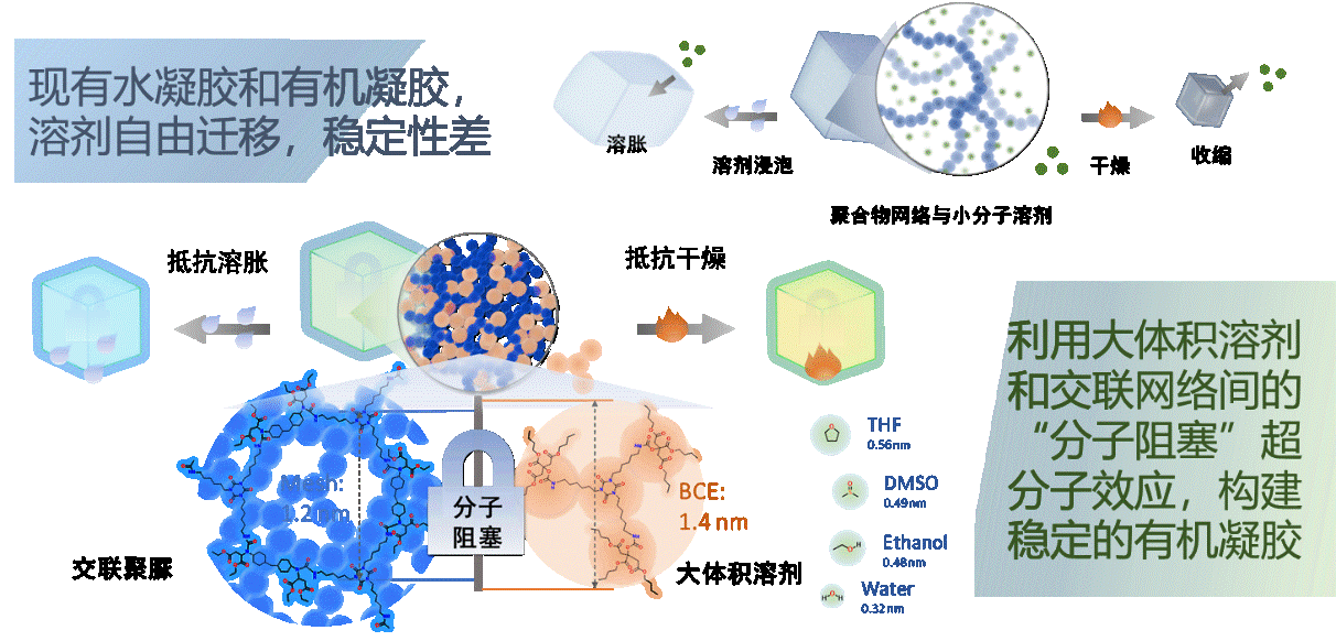 科研人员构建“分子阻塞”超分子机制高阻尼凝胶材料