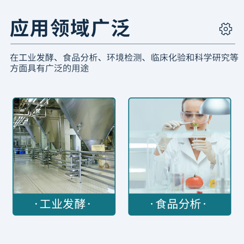 赖氨酸生物传感分析仪