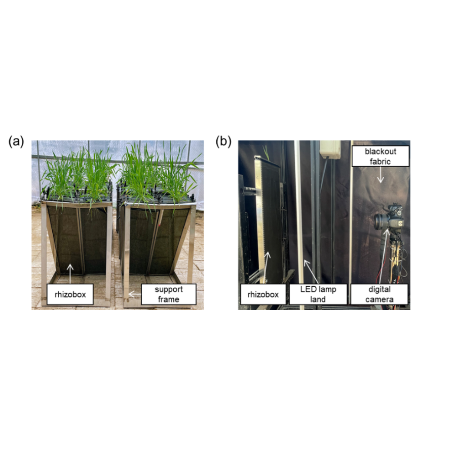 空间集约型植物根系表型高通量移动测量系统