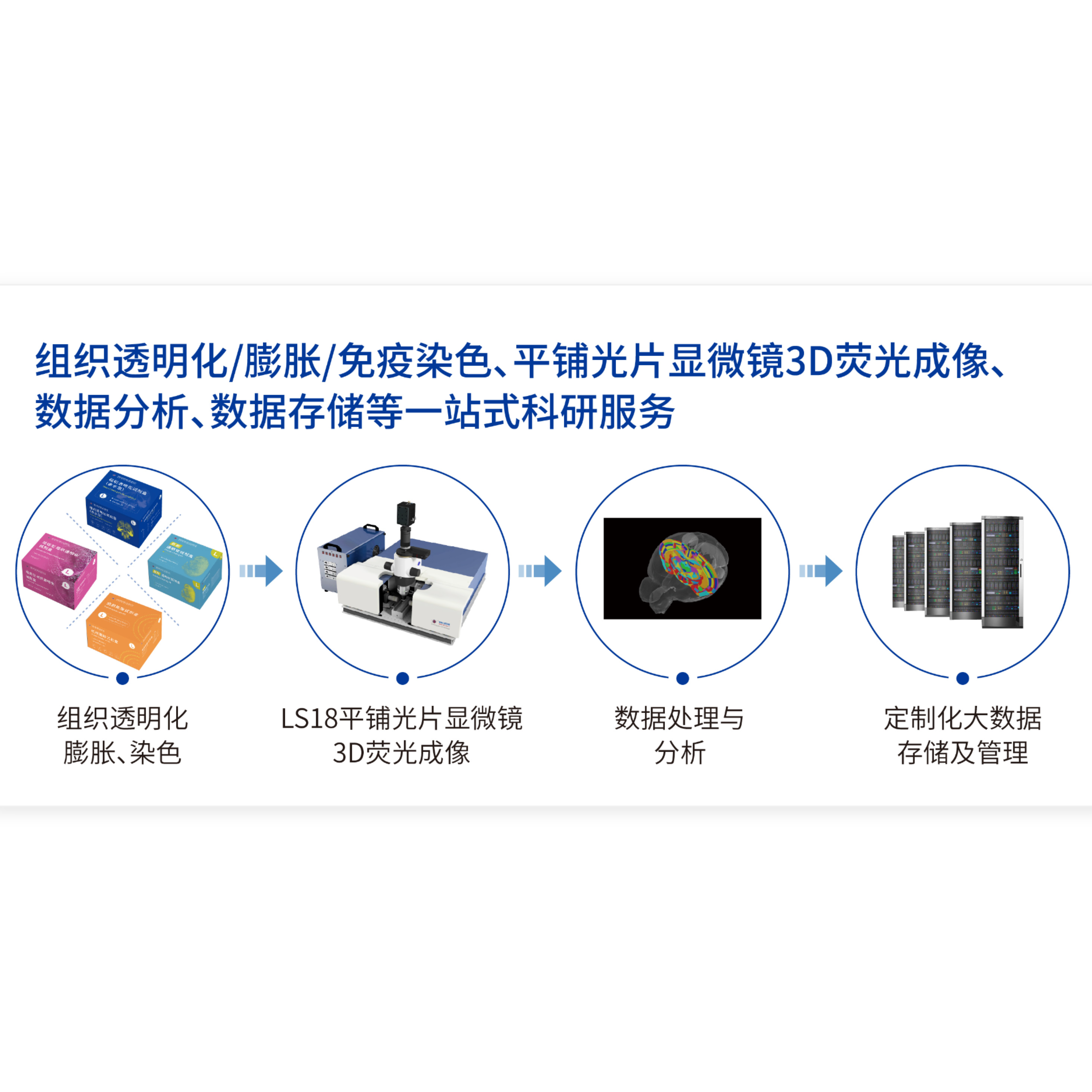 锘海Nuohai科研服务 组织透明化、免疫染色、3D成像、数据分析及存储