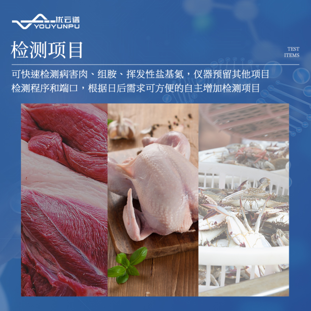 肉类病害检测仪 肉类食品检测仪