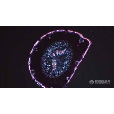 实验级倒置生物显微镜 生物显微镜LK-90