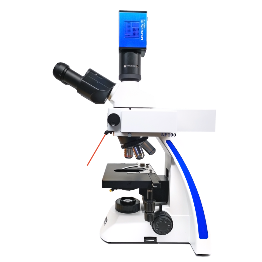 正置荧光显微镜 LF100