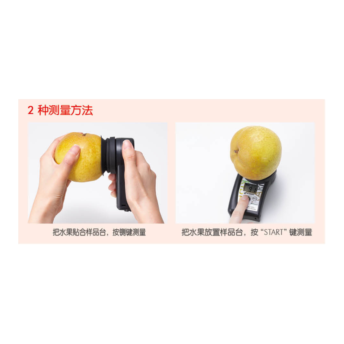 ATAGO（爱拓）水果成熟度无损检测仪 PAL-HIKARi Ripeness